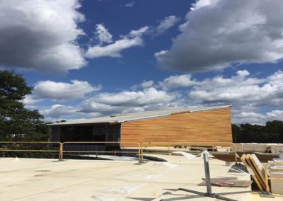 Wood siding and metal roofing at Studio A