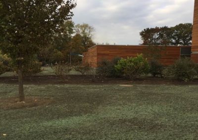 Landscaping behind Studio A and BOH